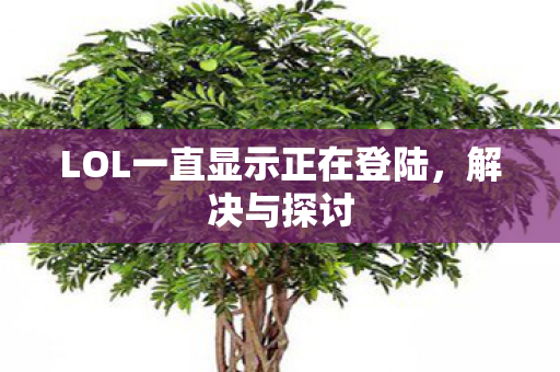 LOL一直显示正在登陆，解决与探讨