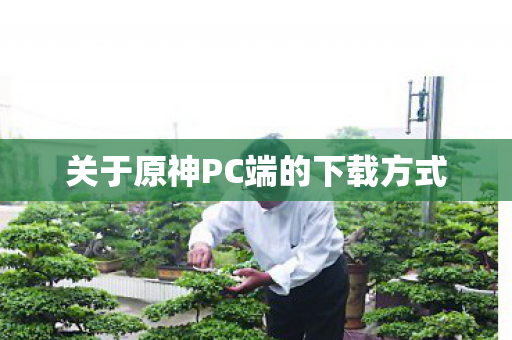 关于原神PC端的下载方式 关于原神PC端的下载方式
