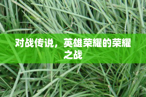 对战传说,英雄荣耀的荣耀之战 对战传说,英雄荣耀的荣耀之战