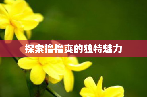 探索撸撸爽的独特魅力 探索撸撸爽的独特魅力