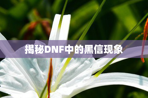 揭秘DNF中的黑信现象 揭秘DNF中的黑信现象