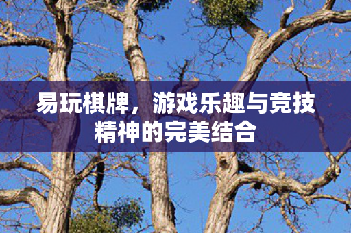易玩棋牌,游戏乐趣与竞技精神的完美结合 易玩棋牌,游戏乐趣与竞技精神的完美结合