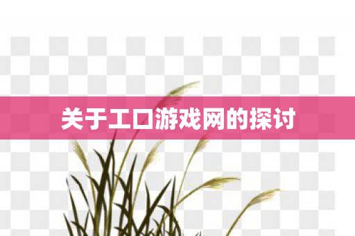 关于工口游戏网的探讨