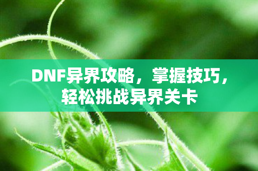 DNF异界攻略,掌握技巧,轻松挑战异界关卡 DNF异界攻略,掌握技巧,轻松挑战异界关卡