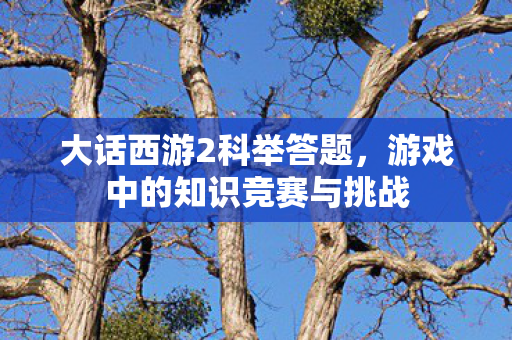 大话西游2科举答题,游戏中的知识竞赛与挑战 大话西游2科举答题,游戏中的知识竞赛与挑战