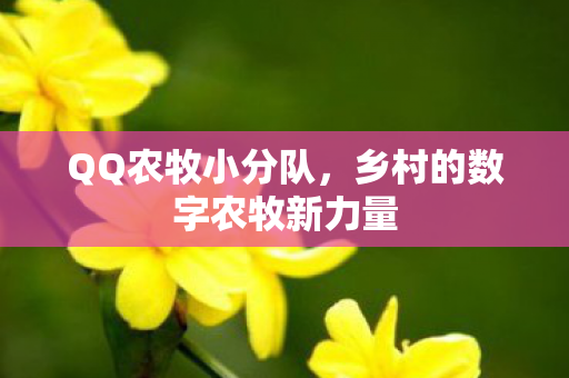 QQ农牧小分队，乡村的数字农牧新力量